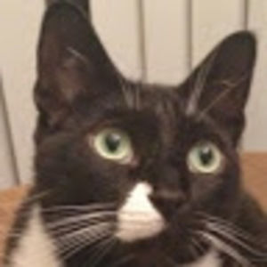 Meet your Posher, Matt